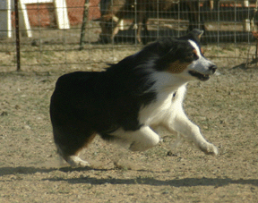 Major